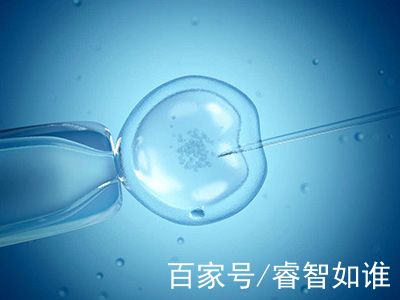 陈医生
